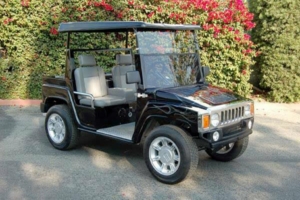 affordable golf cart rental, golf cart rent richmond, richmondgolfcartrental golf cart rental